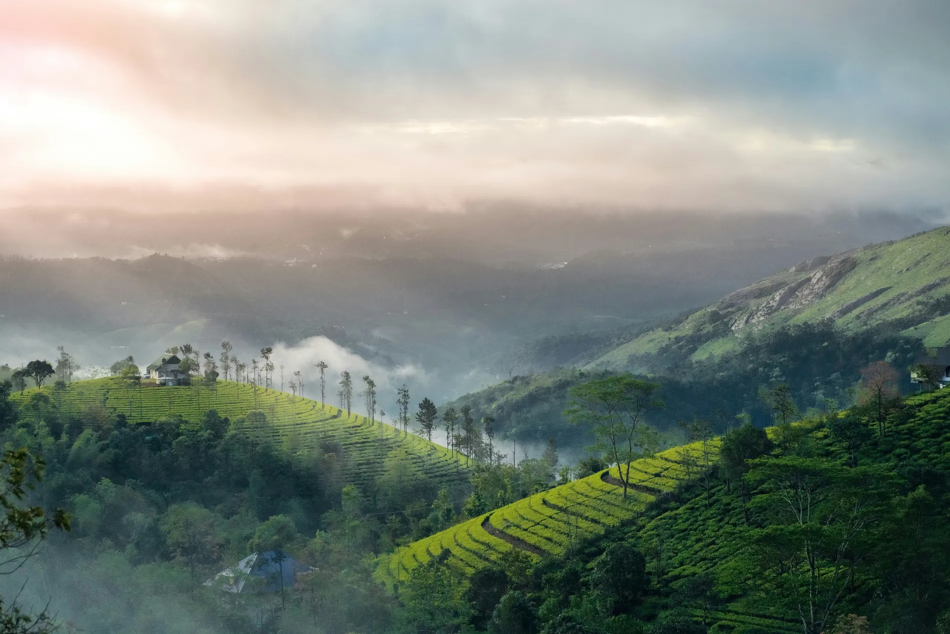 Kerala Hills & Backwater