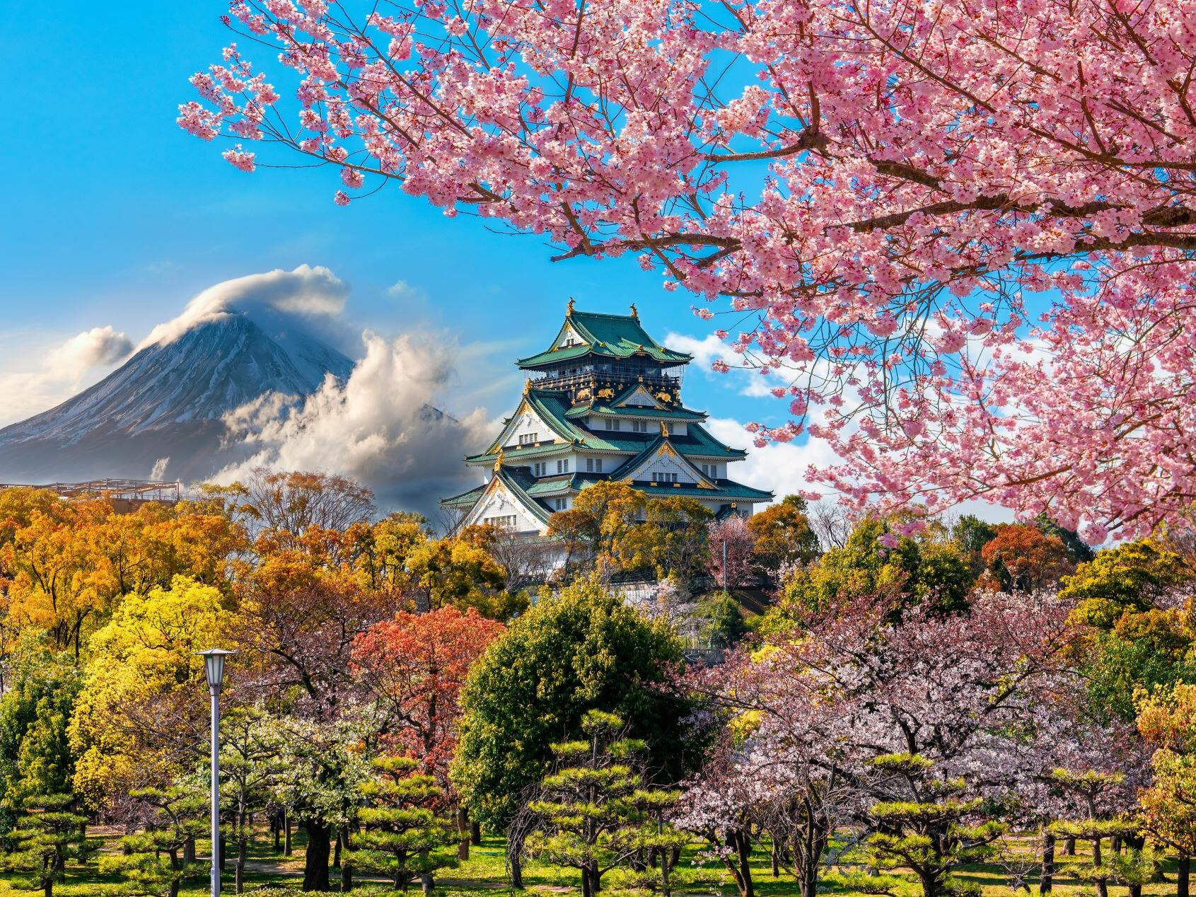 Japan Tour Packages