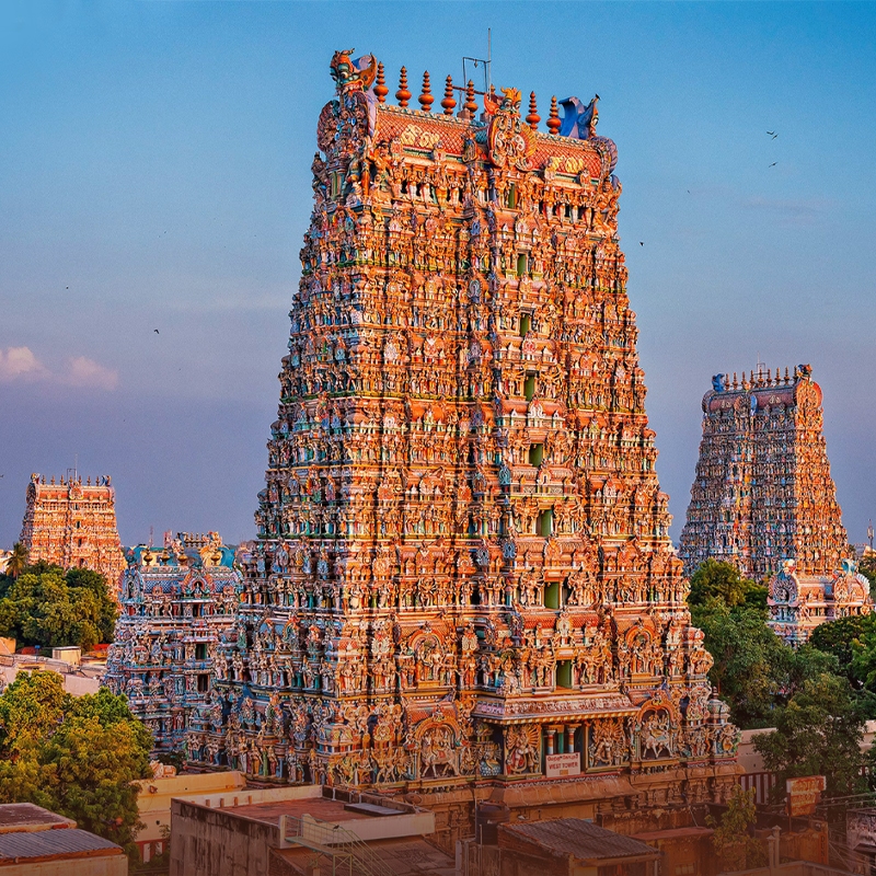 Madurai to Misty Hill